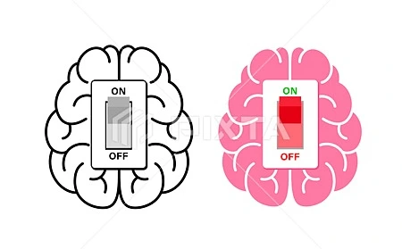 SE-8e8207d8-d7dd-495b-8540-2cb98dce04b7.jpg?type=w1