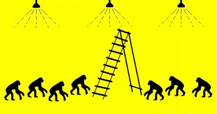 IMG_8426.JPG?type=w1