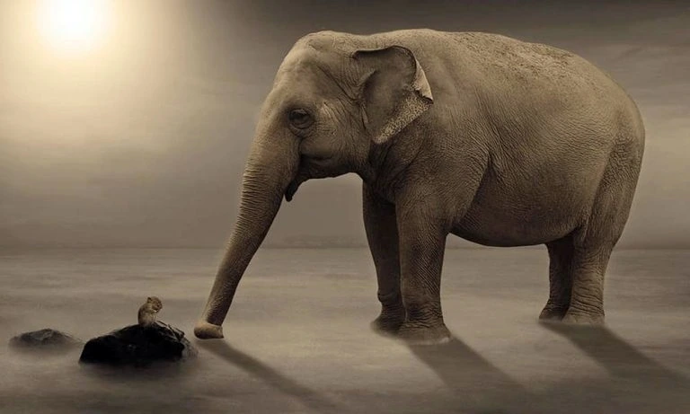 %EC%BD%94%EB%81%BC%EB%A6%AC%EC%99%80_%EC%83%9D%EC%A5%90.jpg?type=w1