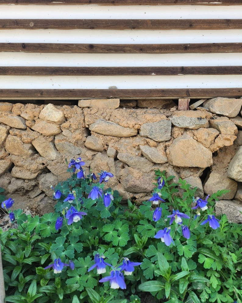 900%EF%BC%BF20250428%EF%BC%BF123904.jpg?type=w3840