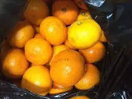 다운로드 (2).jpeg