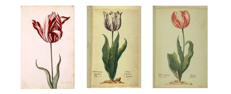 Admiral_Verijck_%28van_der_Eijck_-_%EC%A0%9C%EB%8F%85.jpg?type=w773