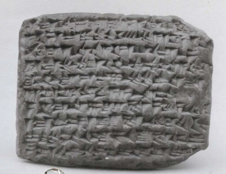 %EC%97%90%EC%A7%80%EB%B9%84%EA%B0%80%EB%AC%B8%EC%9D%98_%EC%95%BD%EC%86%8D%EC%96%B4%EC%9D%8C%2C_BC543.jpg?type=w773