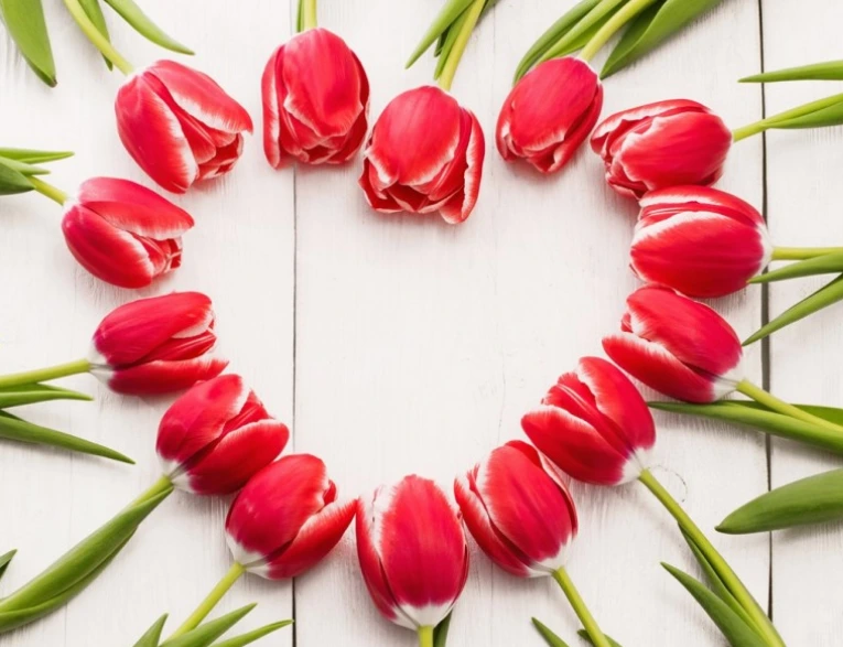 %EB%B9%A8%EA%B0%84%ED%8A%A4%EB%A6%BD.png?type=w773