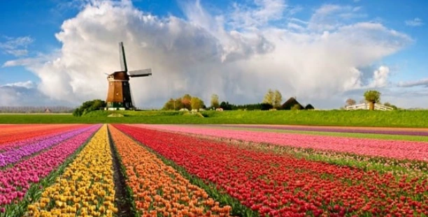 %ED%92%8D%EC%B0%A8%EC%99%80_%ED%8A%A4%EB%A6%BD.png?type=w773