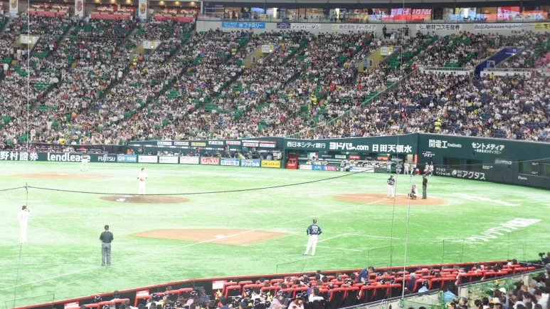 DSC01897.JPG?type=w773