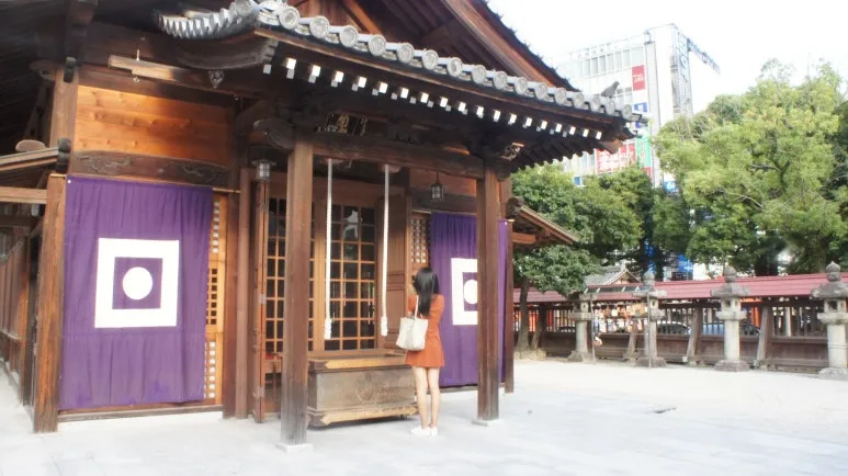 DSC01865.JPG?type=w773