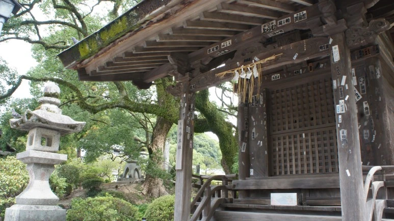 DSC01622.JPG?type=w773