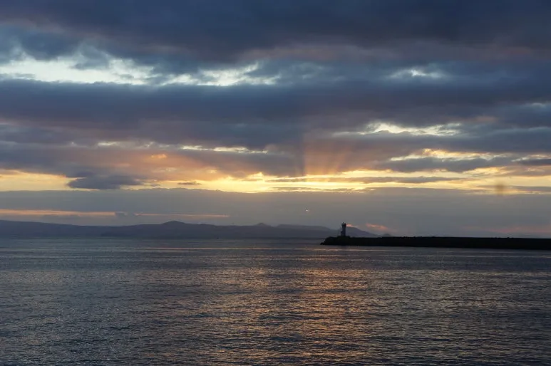 DSC02439.JPG?type=w773