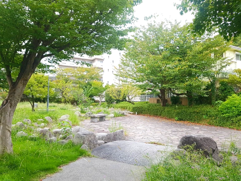 image_4683530141538149611813.png?type=w773