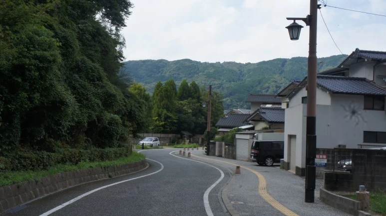 DSC01678.JPG?type=w773