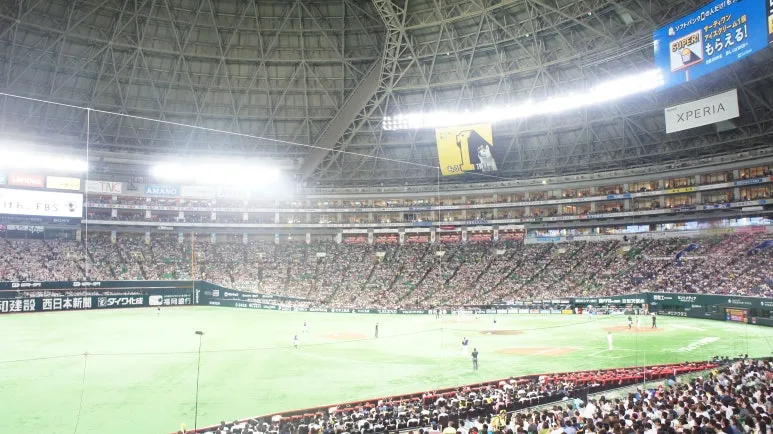 DSC01893.JPG?type=w773