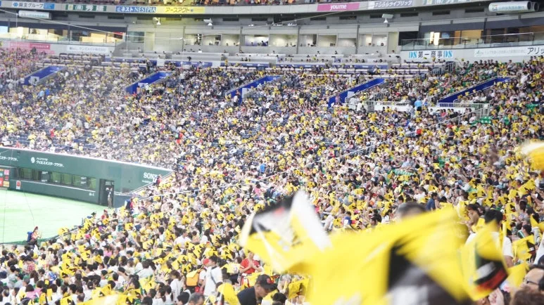 DSC01903.JPG?type=w773