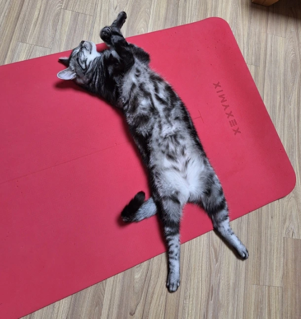 20251016_171336.jpg?type=w1