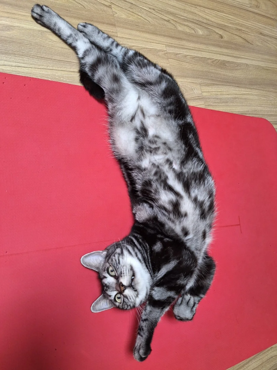 KakaoTalk_20251107_105735190_23.jpg?type=w1