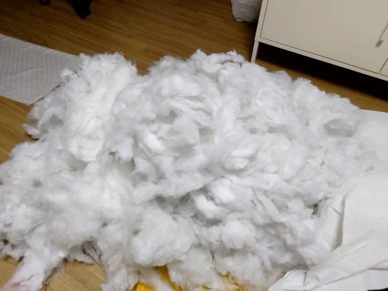 KakaoTalk_20240516_215602506_04.jpg?type=w773