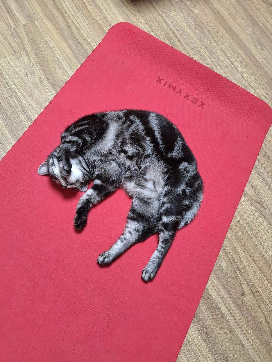 KakaoTalk_20251014_002532145.jpg?type=w1