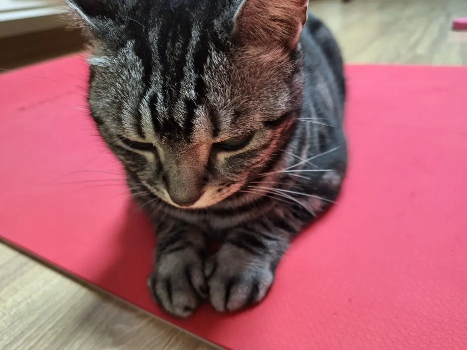 20251017_204031.jpg?type=w1