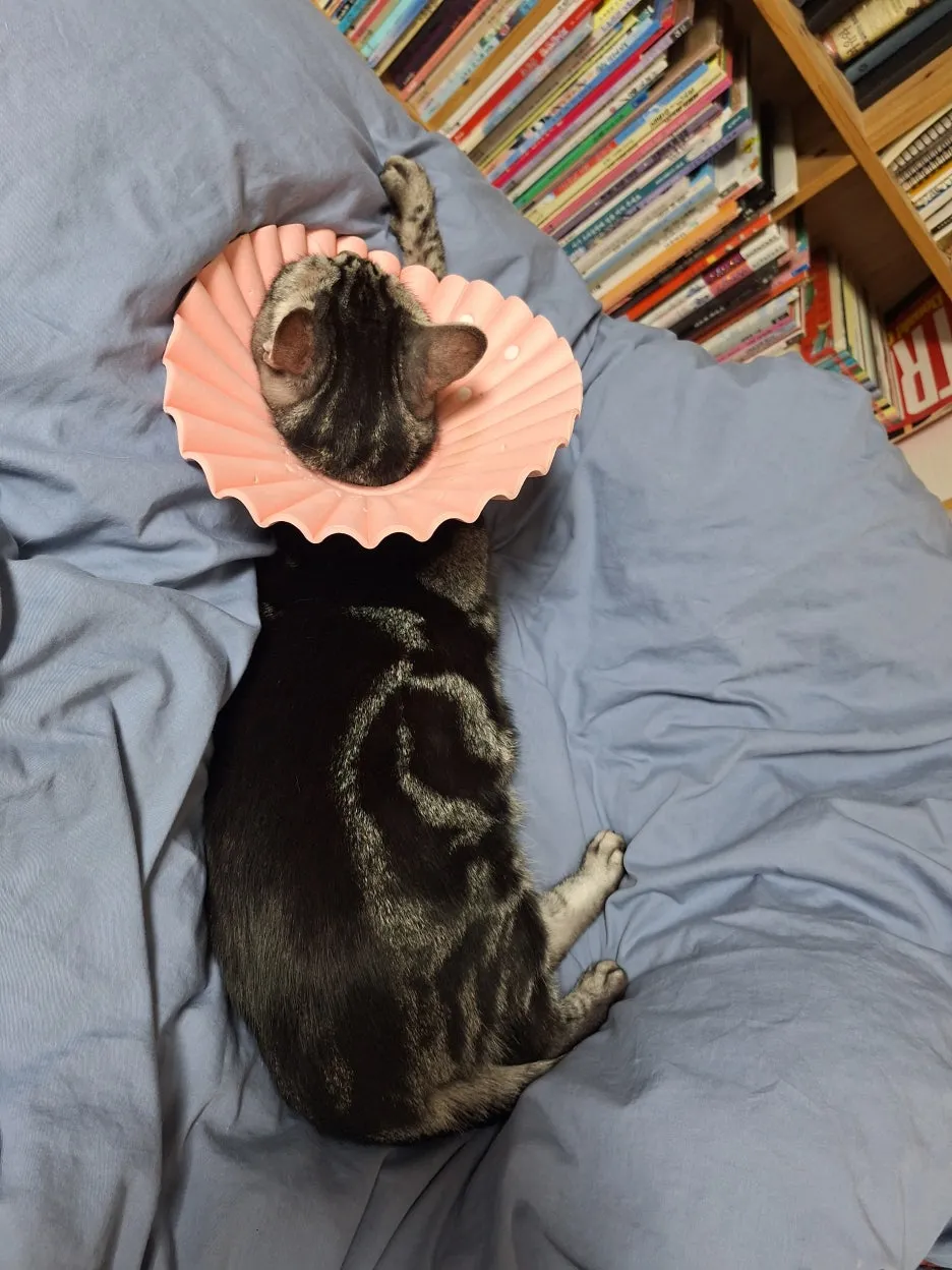 KakaoTalk_20251107_105607472_01.jpg?type=w1