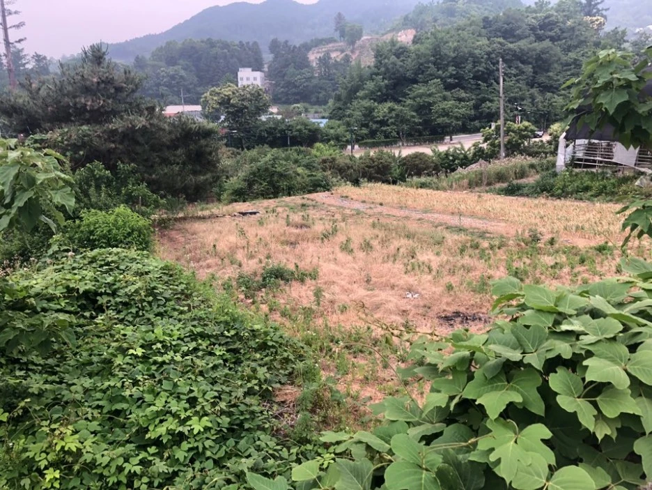 KakaoTalk_20190606_201419636.jpg?type=w1