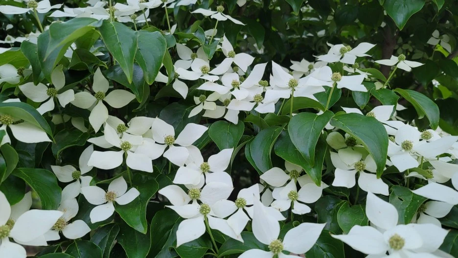 20210510_191702.jpg?type=w1