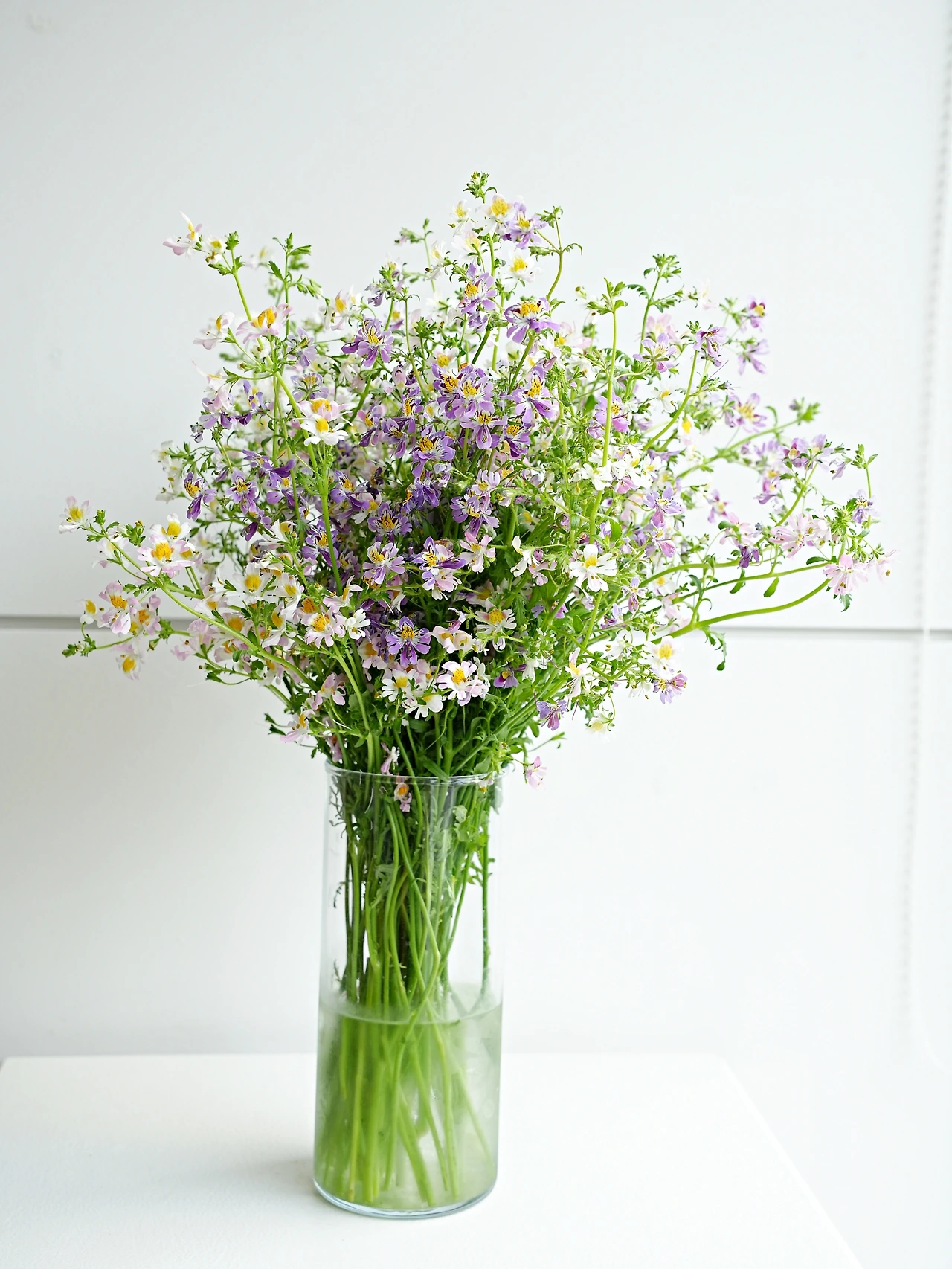 20220612 신품종 꽃 (1).JPG