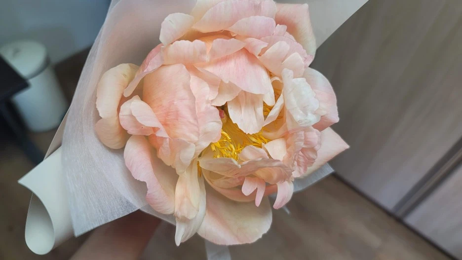 20210411_105326.jpg?type=w1