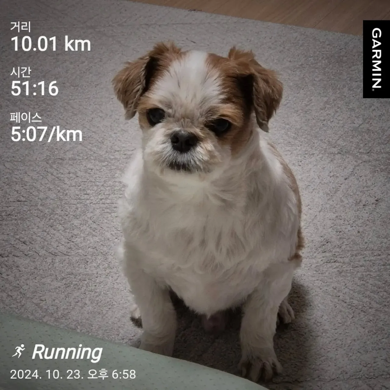 464361087_921267226520975_4319750049783181614_n.webp?stp=dst-jpg_e35_tt6&efg=eyJ2ZW5jb2RlX3RhZyI6IkZFRUQuaW1hZ2VfdXJsZ2VuLjE0NDB4MTQ0MC5zZHIuZjI5MzUwLmRlZmF1bHRfaW1hZ2UuYzIifQ&_nc_ht=scontent-ssn1-1.cdninstagram.com&_nc_cat=111&_nc_oc=Q6cZ2QEorNcXeNx0rmnuLu0uJwL_7OqfPQ1dZh_oaADPmZPh3lDEy3LXjJA5XodRojSrIA8&_nc_ohc=DZZ-1Ul1H4kQ7kNvwGKeGFf&_nc_gid=kNoSYd48cnSRwO_kxizs0g&edm=APoiHPcBAAAA&ccb=7-5&ig_cache_key=MzQ4NTE3MjExNjk3MzQzNjUxMg%3D%3D.3-ccb7-5&oh=00_AfS87XPgyo43ISRTz0AYzWrrJ3j5zgpfVR00zw3WH40ASA&oe=6893860E&_nc_sid=22de04