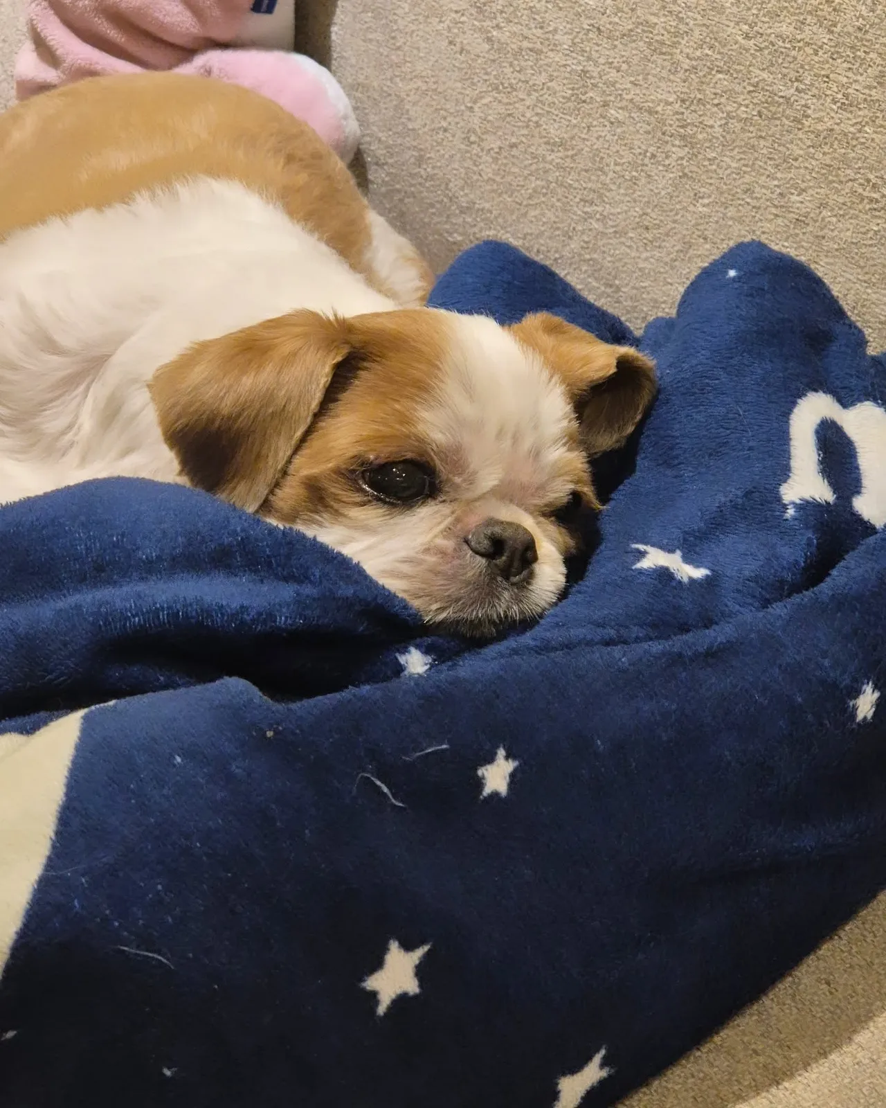 482380464_18284716045217780_3604731315610414128_n.jpg?stp=dst-jpegr_e35_tt6&efg=eyJ2ZW5jb2RlX3RhZyI6IkZFRUQuaW1hZ2VfdXJsZ2VuLjE0NDB4MTgwMC5oZHIuZjc1NzYxLmRlZmF1bHRfaW1hZ2UuYzIifQ&_nc_ht=scontent-ssn1-1.cdninstagram.com&_nc_cat=108&_nc_oc=Q6cZ2QFXcPuJb7kwF4aAtGD_CTq7QK1zf_igpnj0BTUM3AygMS-rR_OgLcMfan7gOnOT37Q&_nc_ohc=ycqt3JUJN2EQ7kNvwFnThCp&_nc_gid=7iZSY_KTVdIbcYm61n6XLw&edm=APoiHPcBAAAA&ccb=7-5&ig_cache_key=MzU3ODAwNzUwMDg2NjA0Mzc0Ng%3D%3D.3-ccb7-5&oh=00_AfReJ51suZkWdlROGMCNpVUQLy0qq2TlOlr-iH2QJJwzvg&oe=6893802F&_nc_sid=22de04