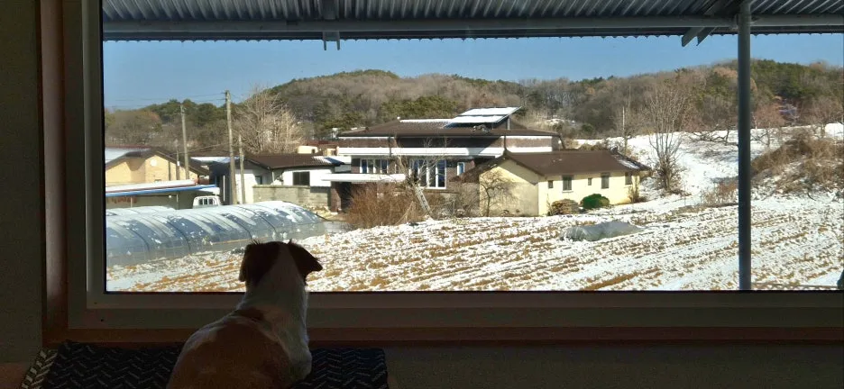 KakaoTalk_20260111_223324088.jpg?type=w1