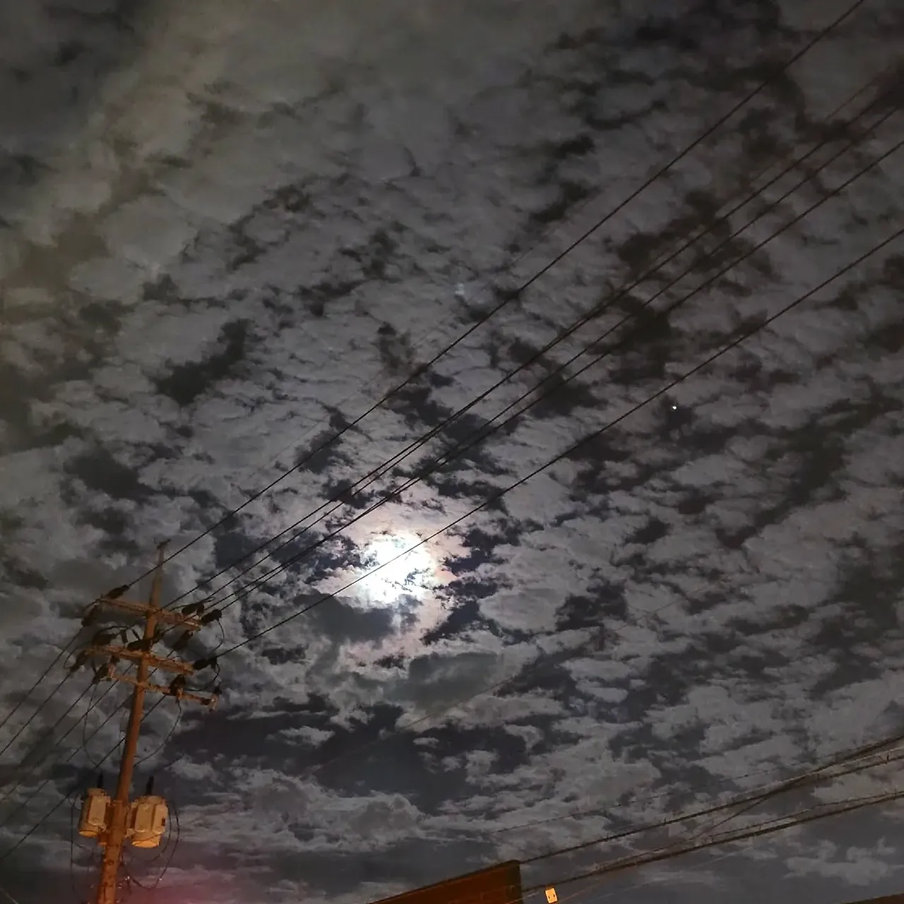 242225289_1284491408733371_6067055778664577688_n.webp?stp=dst-jpg_e35_tt6&efg=eyJ2ZW5jb2RlX3RhZyI6IkZFRUQuaW1hZ2VfdXJsZ2VuLjE0NDB4MTQ0MC5zZHIuZjI5MzUwLmRlZmF1bHRfaW1hZ2UuYzIifQ&_nc_ht=scontent-ssn1-1.cdninstagram.com&_nc_cat=111&_nc_oc=Q6cZ2QHiOxmP6QcVL4q6dfY7J-EhfGdf-LnAebkRedlSf7xaZsjyr4pftzs-RArvu8oDL-I&_nc_ohc=p9O7MvCd5RYQ7kNvwHnklAa&_nc_gid=ds0YKcnQbanETAWyncihfw&edm=APoiHPcBAAAA&ccb=7-5&ig_cache_key=MjY2NjE5NTIwNzgzMzI0OTAxOQ%3D%3D.3-ccb7-5&oh=00_AfTMyBBrQGJJbV2-AeH9DQfhEteAD-31ZsWt-Thwz6a4xg&oe=688D44DF&_nc_sid=22de04