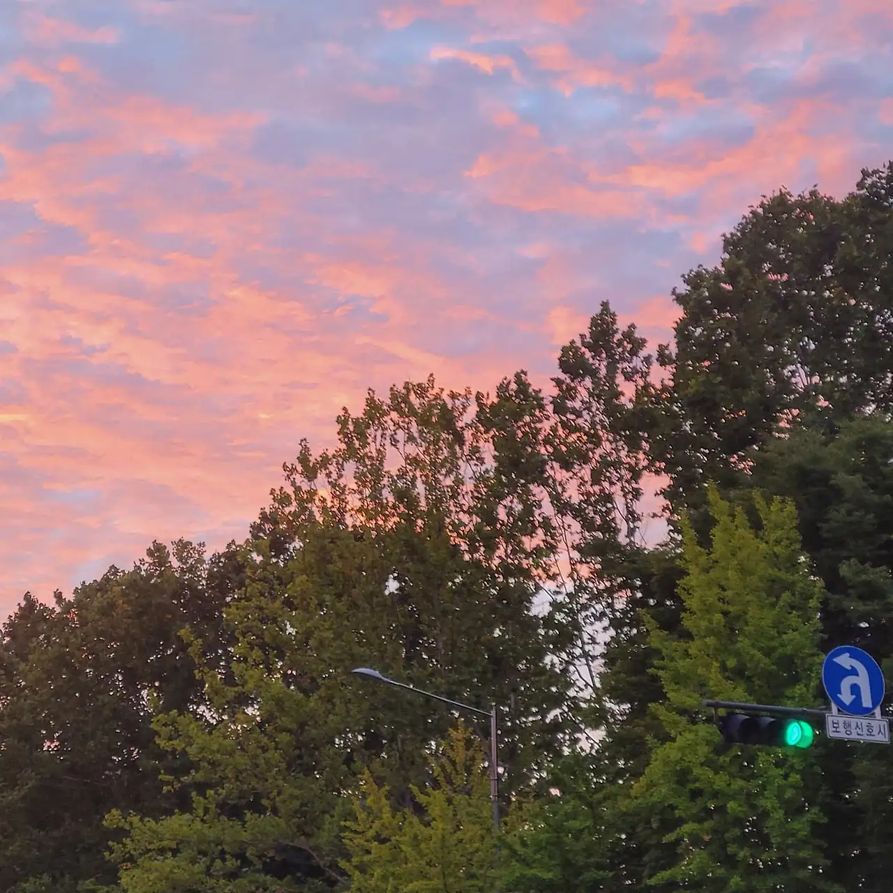 242941965_323591916204390_4647814678277099394_n.jpg?stp=dst-jpg_e35_tt6&efg=eyJ2ZW5jb2RlX3RhZyI6IkZFRUQuaW1hZ2VfdXJsZ2VuLjE0NDB4MTQ0MC5zZHIuZjI5MzUwLmRlZmF1bHRfaW1hZ2UuYzIifQ&_nc_ht=scontent-ssn1-1.cdninstagram.com&_nc_cat=106&_nc_oc=Q6cZ2QF1aHN7XJTSuNk65eI8dmQriIB1lpB-u0hh_xHiO08h5bNllP9L5H1h5ar9MwR9j-o&_nc_ohc=7exkf3hi2IsQ7kNvwFK62Rq&_nc_gid=FX4qaHJAyfKCKVSbHQQ7QQ&edm=APoiHPcBAAAA&ccb=7-5&ig_cache_key=MjY3MTU0MDAzMTIwMTg4OTg5Nw%3D%3D.3-ccb7-5&oh=00_AfSj7kZfnkbeoSV1tGVwUHQ9O-Nu2n55yVaRERez0YEQEw&oe=688D5405&_nc_sid=22de04