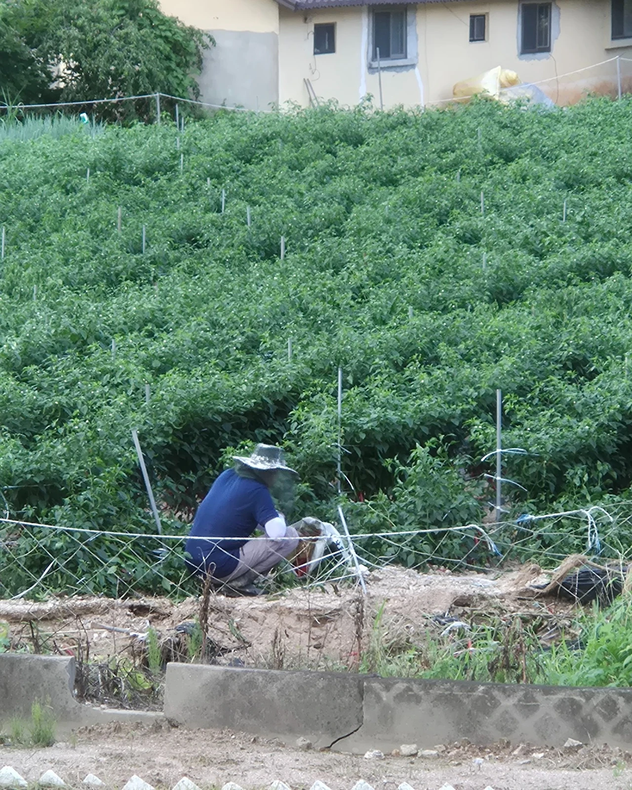 520705780_18299083543217780_4227022730637185978_n.jpg?stp=dst-jpg_e35_tt6&efg=eyJ2ZW5jb2RlX3RhZyI6IkNBUk9VU0VMX0lURU0uaW1hZ2VfdXJsZ2VuLjE0NDB4MTgwMC5zZHIuZjgyNzg3LmRlZmF1bHRfaW1hZ2UuZXhwZXJpbWVudGFsIn0&_nc_ht=scontent-ssn1-1.cdninstagram.com&_nc_cat=108&_nc_oc=Q6cZ2QFubmN7LlIx37dlNfrF-yW0HaBdv9f0qPXbuUxXOjcYLKdl3lMqcvQOryxjznMjTBw&_nc_ohc=5VflbC2pAhcQ7kNvwFnjLDI&_nc_gid=XsC8hjLZ26qvPQbbKaPSDg&edm=AOmX9WgBAAAA&ccb=7-5&ig_cache_key=MzY4MDg5MzM3MTgwOTM0MjcyMw%3D%3D.3-ccb7-5&oh=00_AfRMU7OwAazpIqmVScKvDPVD3oyNLh2ehg1m6caXjdHr7g&oe=68856974&_nc_sid=bfaa47