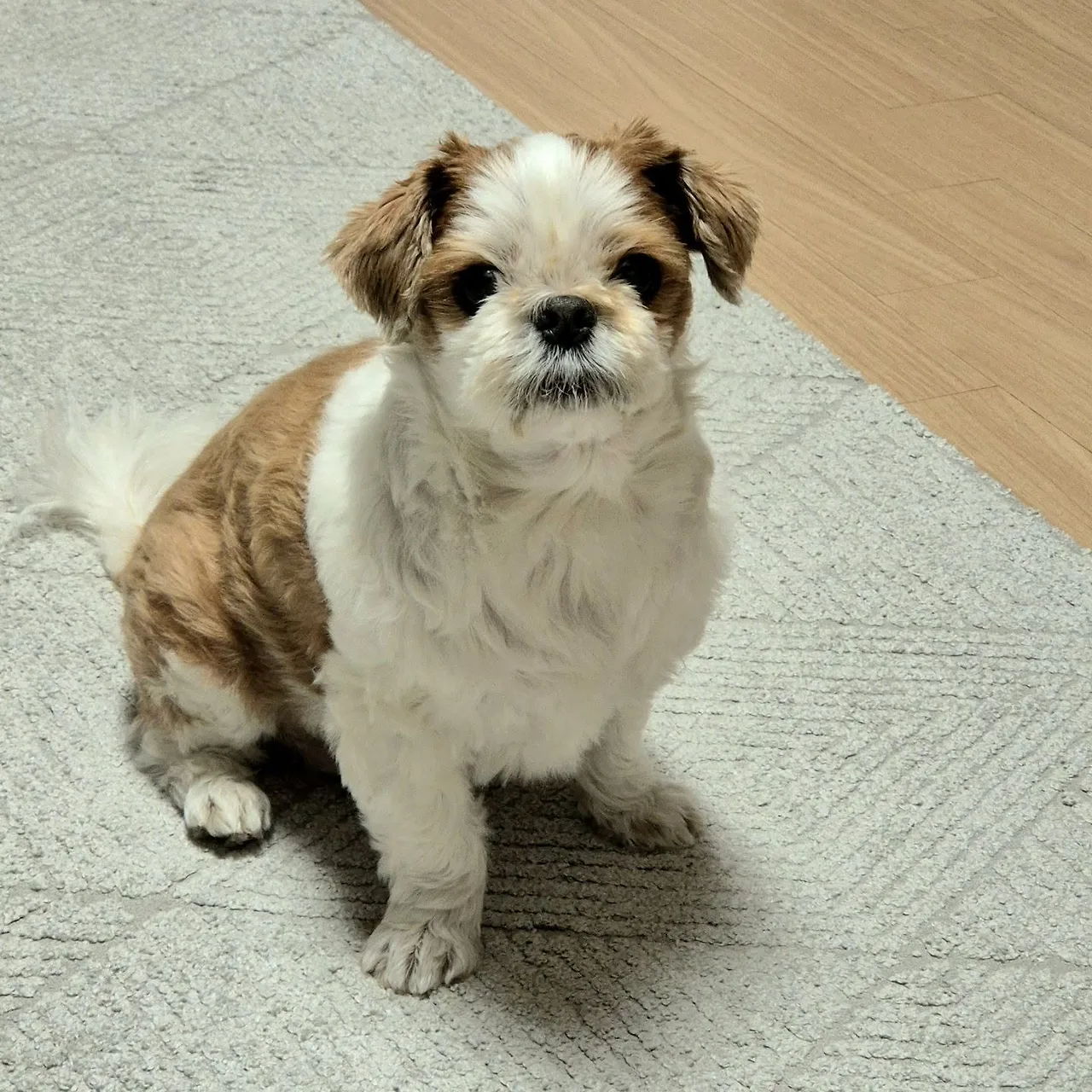 458722874_828693492582815_366133018927906640_n.jpg?stp=cp6_dst-jpegr_e35_tt6&efg=eyJ2ZW5jb2RlX3RhZyI6IkNBUk9VU0VMX0lURU0uaW1hZ2VfdXJsZ2VuLjE0NDB4MTQ0MC5oZHIuZjI5MzUwLmRlZmF1bHRfaW1hZ2UuYzIifQ&_nc_ht=scontent-ssn1-1.cdninstagram.com&_nc_cat=111&_nc_oc=Q6cZ2QFUBAyQtpnmrhD_-2RDh4wyb4G8fplBoe1FJWga0VKCRCXd7rbUF70oE4YrwJyzfNc&_nc_ohc=6hA_y0lMf58Q7kNvwGIa1w6&_nc_gid=PMaD_lyCiMEntYOCrt7QsA&edm=APoiHPcBAAAA&ccb=7-5&ig_cache_key=MzQ1MjU5MzY3MDE2MjQ3NTU4NQ%3D%3D.3-ccb7-5&oh=00_AfR6zA4q4UC1X9WHFQo-bdxygajmTRN7kU4QIakPTD0iyg&oe=68937929&_nc_sid=22de04