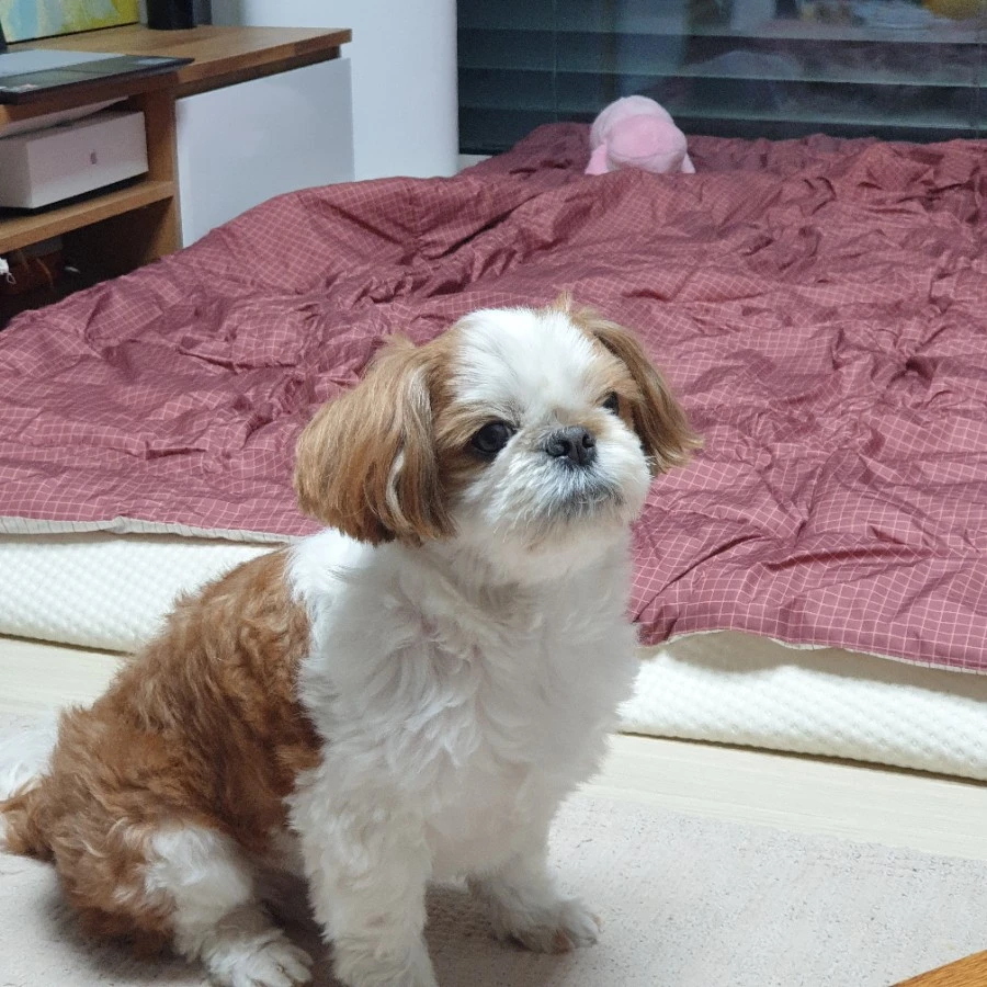 20210210%EF%BC%BF214607.jpg?type=w966