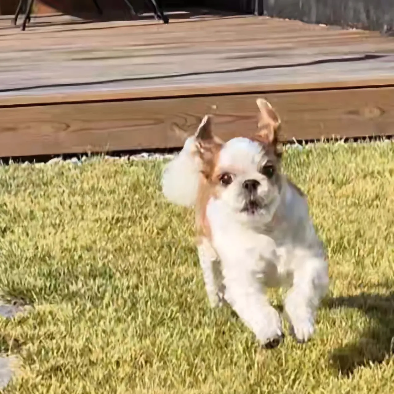 462693392_1059361318736877_5390050162424648584_n.webp?stp=dst-jpg_e35_tt6&efg=eyJ2ZW5jb2RlX3RhZyI6IkNBUk9VU0VMX0lURU0uaW1hZ2VfdXJsZ2VuLjE0NDB4MTQ0MC5zZHIuZjI5MzUwLmRlZmF1bHRfaW1hZ2UuYzIifQ&_nc_ht=scontent-ssn1-1.cdninstagram.com&_nc_cat=109&_nc_oc=Q6cZ2QEorNcXeNx0rmnuLu0uJwL_7OqfPQ1dZh_oaADPmZPh3lDEy3LXjJA5XodRojSrIA8&_nc_ohc=U0KYyrD8yrIQ7kNvwHjfduy&_nc_gid=kNoSYd48cnSRwO_kxizs0g&edm=APoiHPcBAAAA&ccb=7-5&ig_cache_key=MzQ3Nzg0ODQ0MTQ1ODgwODAyMw%3D%3D.3-ccb7-5&oh=00_AfSzW8Y_7yADgHl1LobaRMA9aOD7fdLaGNUsvVOaon4OCQ&oe=689374F9&_nc_sid=22de04