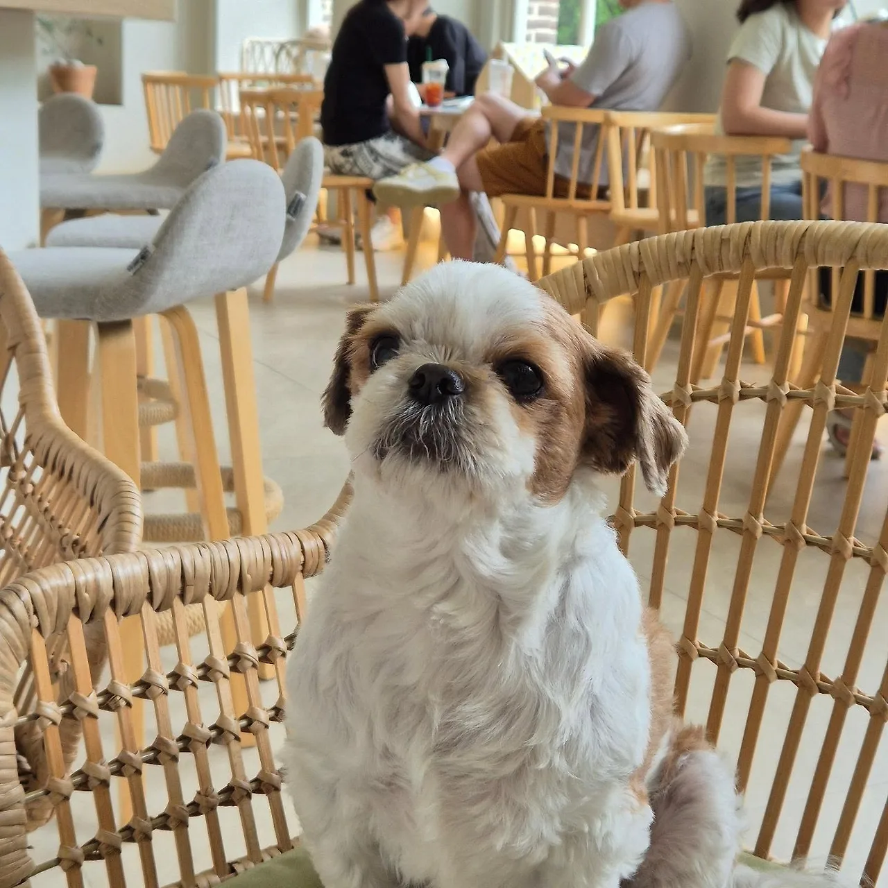 450441831_1639397826898900_3277933246421998535_n.jpg?stp=dst-jpegr_e35_tt6&efg=eyJ2ZW5jb2RlX3RhZyI6IkNBUk9VU0VMX0lURU0uaW1hZ2VfdXJsZ2VuLjE0NDB4MTQ0MC5oZHIuZjI5MzUwLmRlZmF1bHRfaW1hZ2UuYzIifQ&_nc_ht=scontent-ssn1-1.cdninstagram.com&_nc_cat=104&_nc_oc=Q6cZ2QG9QnGpPAAfrUxsSjZfGcXOpAdYyTbWkwaExscPz9rG9f9knBhXRYjTglP28STDDtw&_nc_ohc=GwsxJpc4YBkQ7kNvwEkAFwG&_nc_gid=ZE5EHB9LbRXMdDNLNEFHfQ&edm=APoiHPcBAAAA&ccb=7-5&ig_cache_key=MzQwODM4OTM3NDc4NTEwNTkwOA%3D%3D.3-ccb7-5&oh=00_AfSJIC7Jwpn10w91hwnVRNgyE-SHZhxjOK3gnNXsRja7Vw&oe=68936A16&_nc_sid=22de04