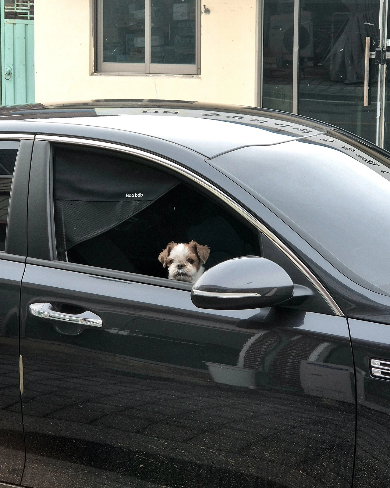 520701335_18298981057217780_3970680285271482152_n.jpg?stp=dst-jpg_e35_tt6&efg=eyJ2ZW5jb2RlX3RhZyI6IkNBUk9VU0VMX0lURU0uaW1hZ2VfdXJsZ2VuLjE0NDB4MTgwMC5zZHIuZjgyNzg3LmRlZmF1bHRfaW1hZ2UuZXhwZXJpbWVudGFsIn0&_nc_ht=scontent-ssn1-1.cdninstagram.com&_nc_cat=108&_nc_oc=Q6cZ2QFqjRWSddIiMQeqE_e68jqE9JQI6biOmHG7dtNxQCjHs6rjiLo8kK3z5suj5Egoe10&_nc_ohc=esmwayhE_QgQ7kNvwH2YrQv&_nc_gid=09CNJuByWeebdAq052uYSw&edm=AP4sbd4BAAAA&ccb=7-5&ig_cache_key=MzY4MDE4NzgwMTAzMjgwOTIwNg%3D%3D.3-ccb7-5&oh=00_AfS0eGkxqNX-oD3id1K5Q4e-eiwfCRm6PSUcAsKNLMoy9A&oe=68938E5D&_nc_sid=7a9f4b