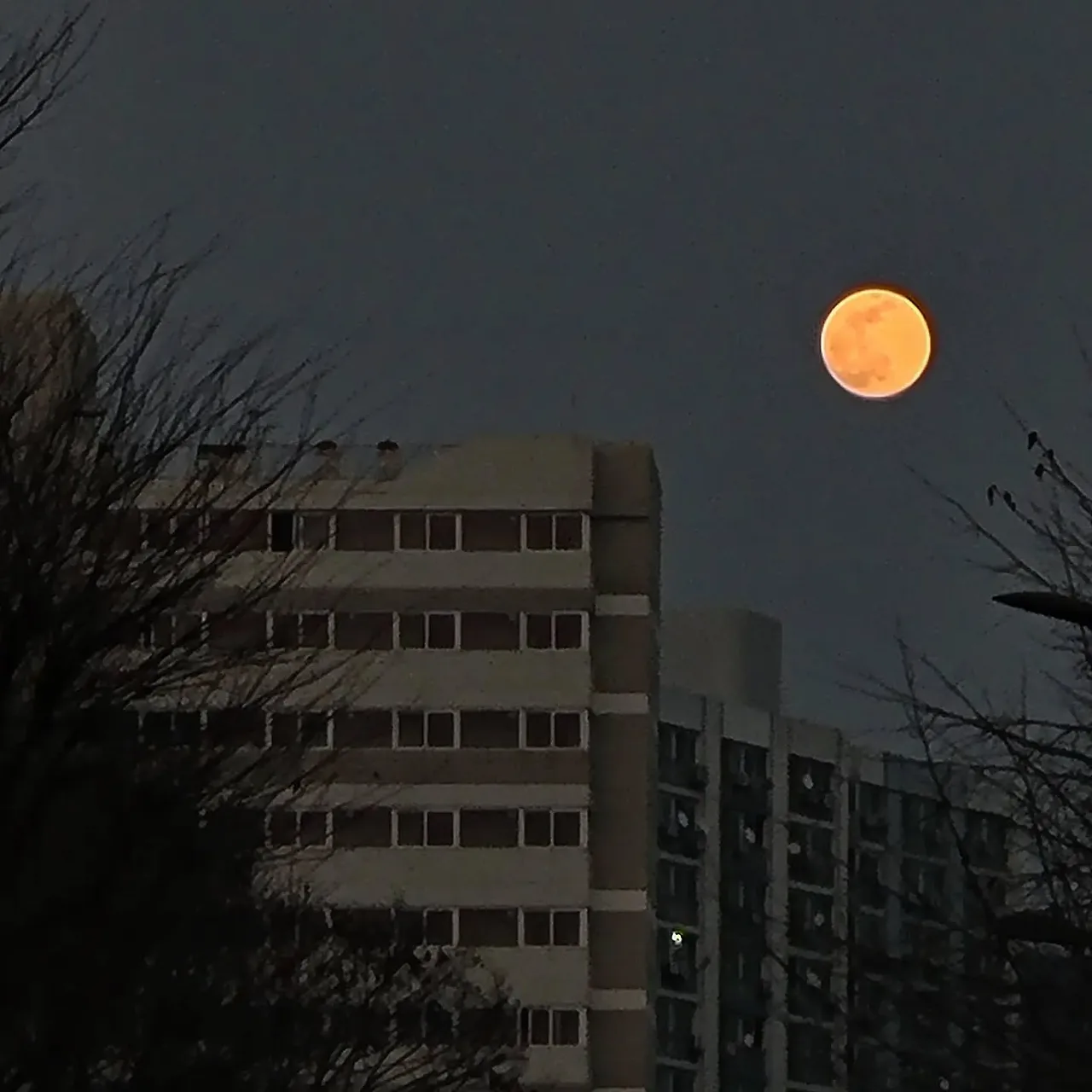 329027863_5574581456001928_826629091335344501_n.webp?stp=dst-jpg_e35_tt6&efg=eyJ2ZW5jb2RlX3RhZyI6IkZFRUQuaW1hZ2VfdXJsZ2VuLjE0NDB4MTQ0MC5zZHIuZjI5MzUwLmRlZmF1bHRfaW1hZ2UuZXhwZXJpbWVudGFsIn0&_nc_ht=scontent-ssn1-1.cdninstagram.com&_nc_cat=104&_nc_oc=Q6cZ2QErRInwMnRrhexDhedJTbVEM9cpPCpY1CpJ9NGOxS52QKW1QJraPMUEbD6JC9J9Et0&_nc_ohc=EqiU2ZqjKVwQ7kNvwHc_SCX&_nc_gid=6udSXhDTEXR9UnBH_qaY_A&edm=APoiHPcBAAAA&ccb=7-5&ig_cache_key=MzAzMTQwNzEyMzI2Mzg3OTA5OA%3D%3D.3-ccb7-5&oh=00_AfQoBBNBn5l_DVZhvb1hFQRjp0zkg7QUI5l-p6lmiHVyrA&oe=688D30FC&_nc_sid=22de04