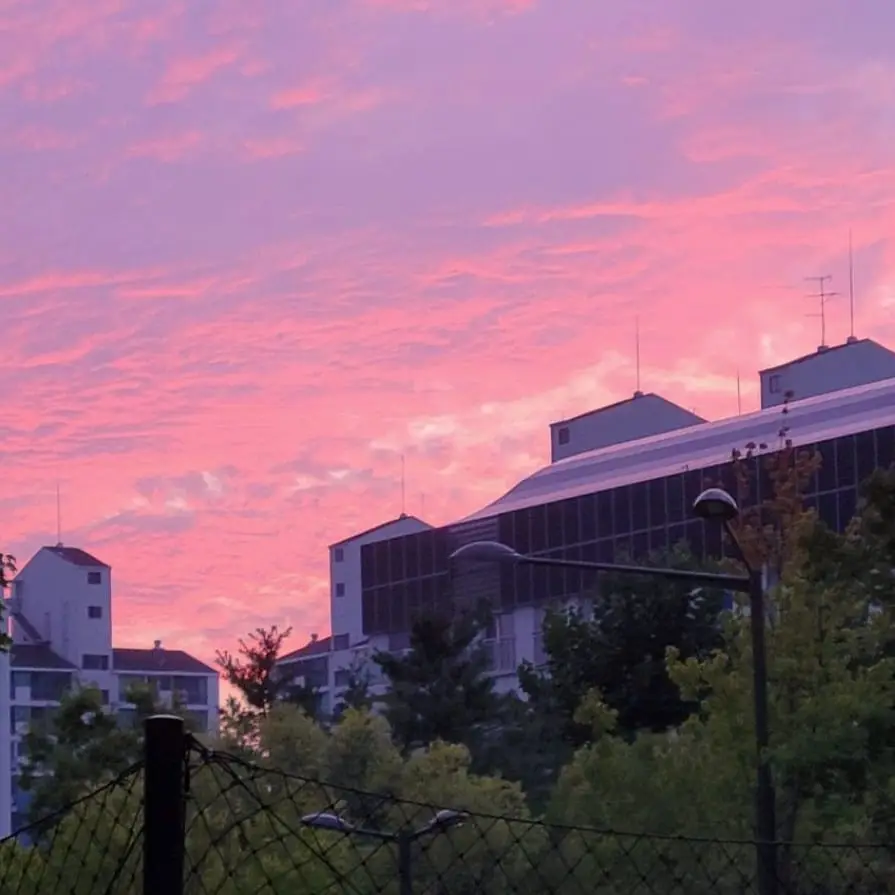 239688365_528684624913505_6511840830749771851_n.jpg?stp=dst-jpg_e35_tt6&efg=eyJ2ZW5jb2RlX3RhZyI6IkZFRUQuaW1hZ2VfdXJsZ2VuLjg5NXg4OTUuc2RyLmYyOTM1MC5kZWZhdWx0X2ltYWdlLmMyIn0&_nc_ht=scontent-ssn1-1.cdninstagram.com&_nc_cat=105&_nc_oc=Q6cZ2QEkysl8_QliOSewBbSpYSBv5ZYcAevxO3p1Y-sBmiLUDDGy8ujV5t7OSwOVNZ4G91E&_nc_ohc=SDYdwyKIkP4Q7kNvwG8SMUl&_nc_gid=-vYS5MI30r4xy1xIYViwIA&edm=APoiHPcBAAAA&ccb=7-5&ig_cache_key=MjY0NTg1ODk2ODc2NjU4NjA5OA%3D%3D.3-ccb7-5&oh=00_AfSQXm4iz5ao670CTkLlVqUyk5wh5V6qSr86PGnpxfs7tQ&oe=688D2D90&_nc_sid=22de04