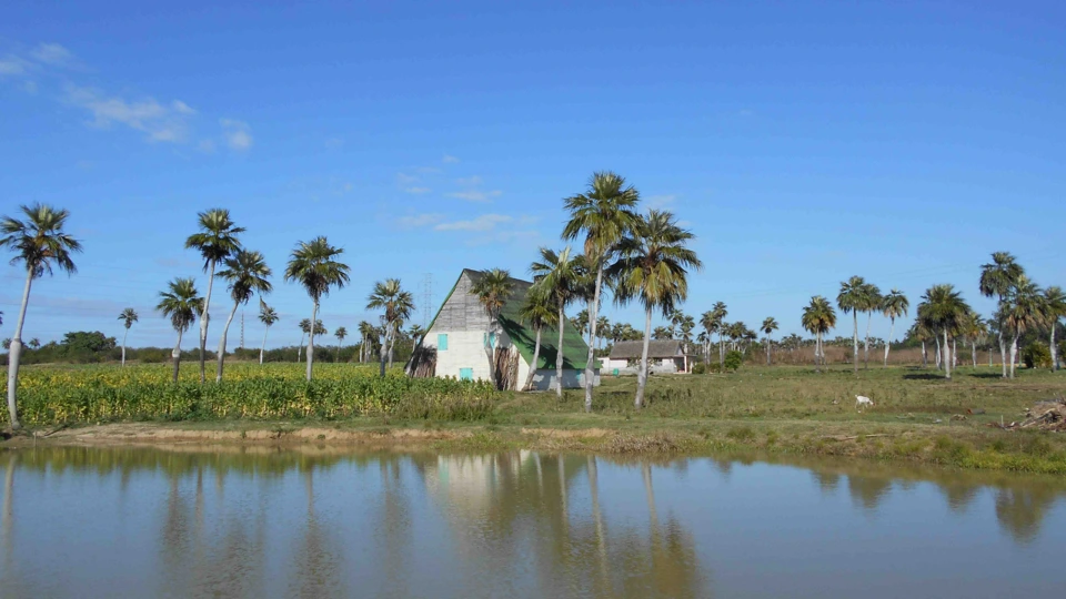 QmRbLCGVjwfCFLkexaVHBbcTSuThCNd7g2j37YZDDxe1ae