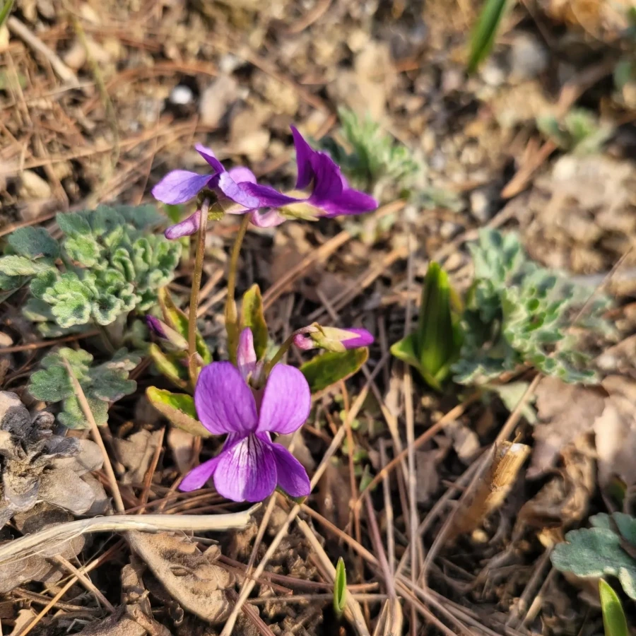 IMG%EF%BC%BF20230320%EF%BC%BF175612%EF%BC%BF689.jpg?type=w1