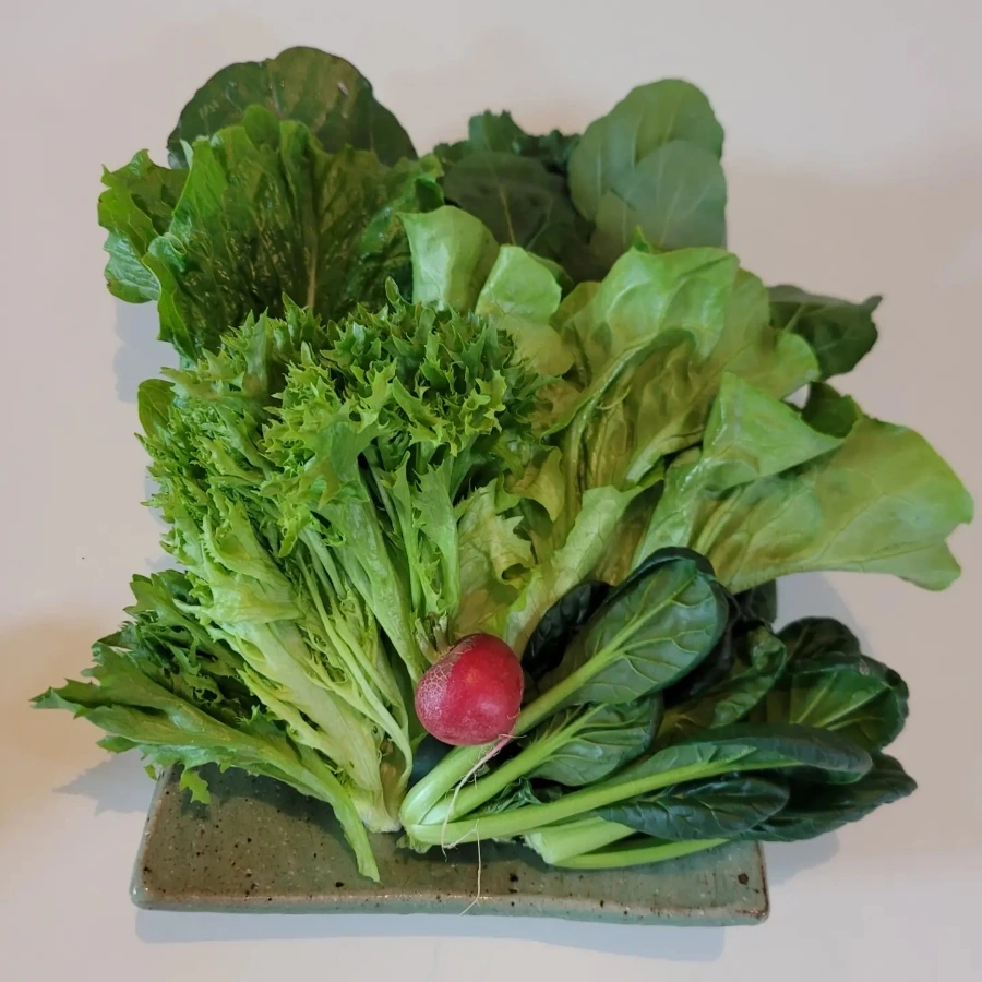 IMG%EF%BC%BF20230320%EF%BC%BF175612%EF%BC%BF221.jpg?type=w1