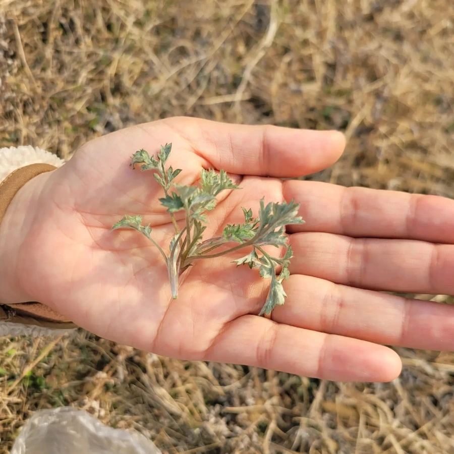 IMG%EF%BC%BF20230320%EF%BC%BF175612%EF%BC%BF347.jpg?type=w1