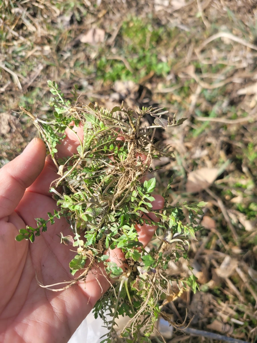 20230316%EF%BC%BF100256.jpg?type=w1