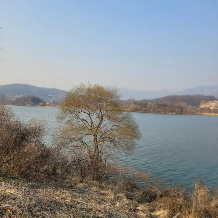 IMG%EF%BC%BF20230320%EF%BC%BF175612%EF%BC%BF891.jpg?type=w1