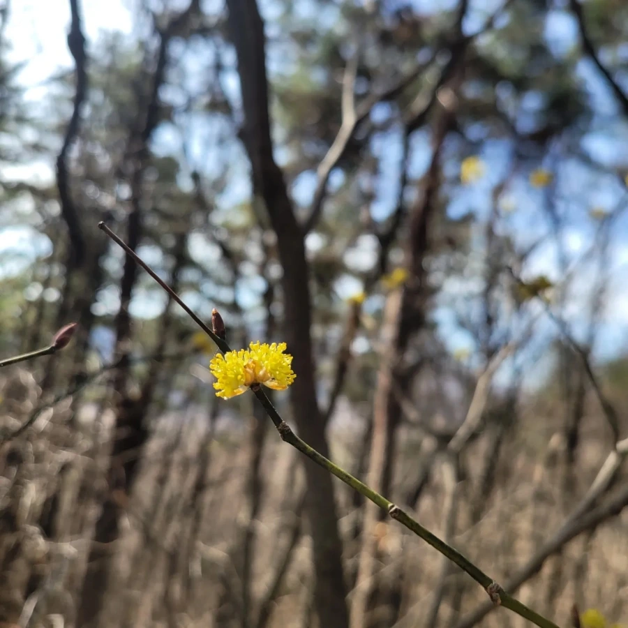 IMG%EF%BC%BF20230316%EF%BC%BF212758%EF%BC%BF915.jpg?type=w1