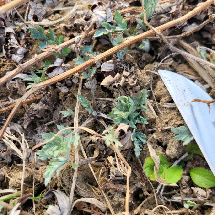 IMG%EF%BC%BF20230320%EF%BC%BF175612%EF%BC%BF561.jpg?type=w1