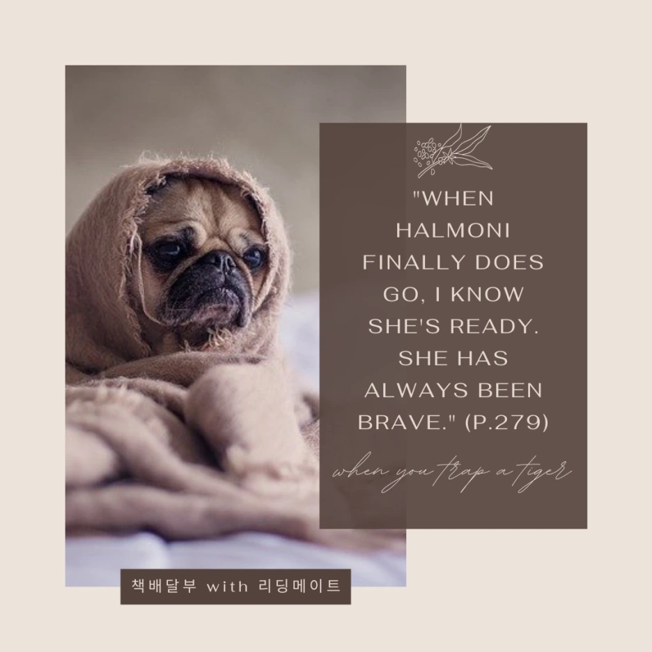 When_Halmoni_finally_does_go,_I_know_she's_ready._She_has_always_been_brave..png?type=w1