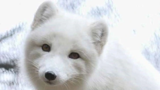 %EB%8B%A4%EC%9A%B4%EB%A1%9C%EB%93%9C%ED%8C%8C%EC%9D%BC%EF%BC%BF20240217%EF%BC%BF111246.jpg?type=w773